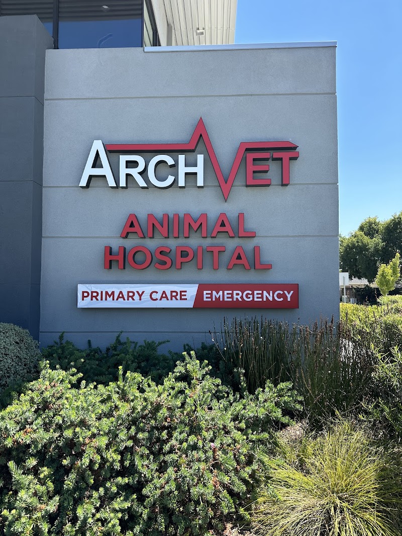 ARCHVET Emergency Hospital