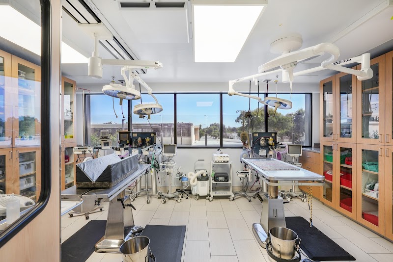 ARCHVET Emergency Hospital