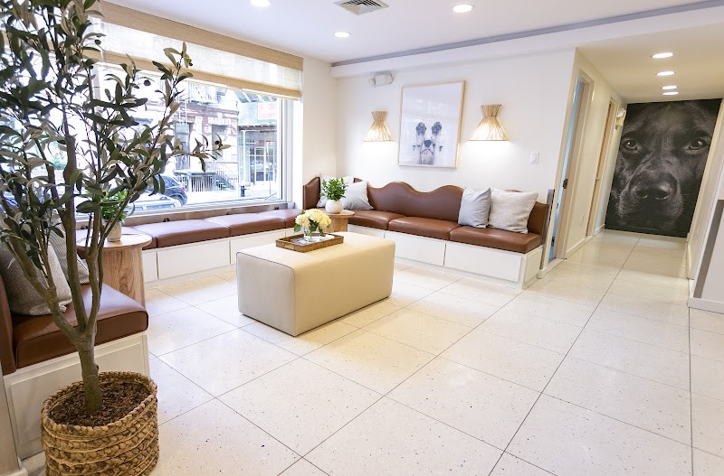 Lincoln Square Veterinary Hospital