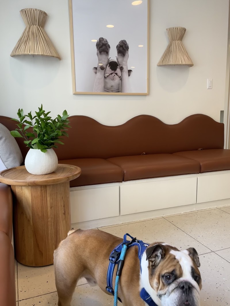 Lincoln Square Veterinary Hospital