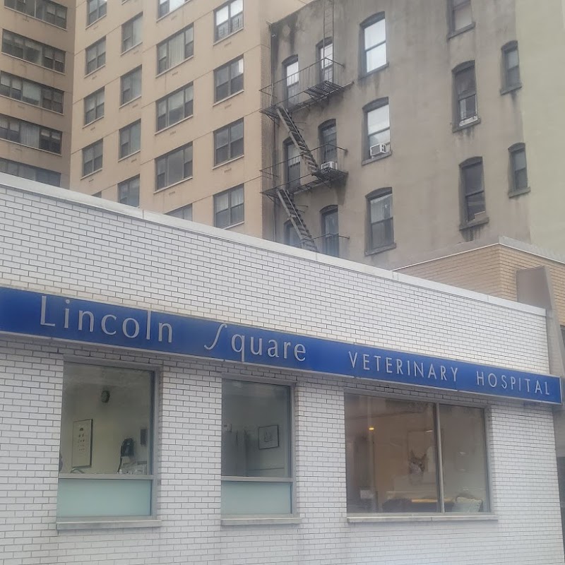Lincoln Square Veterinary Hospital