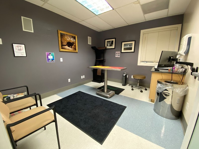 The Whole Pet Vet