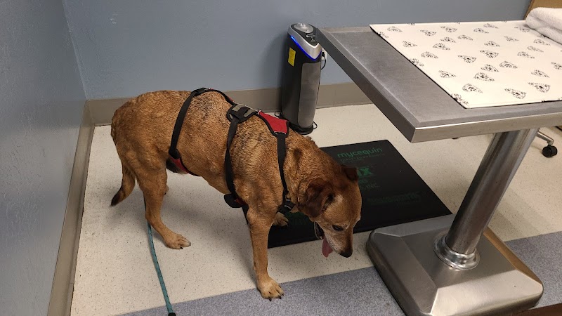 The Whole Pet Vet