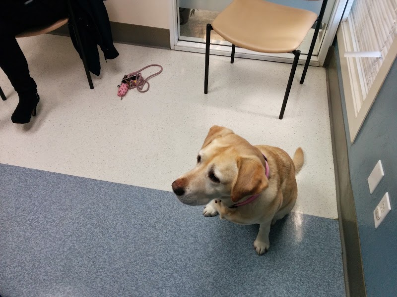 The Whole Pet Vet