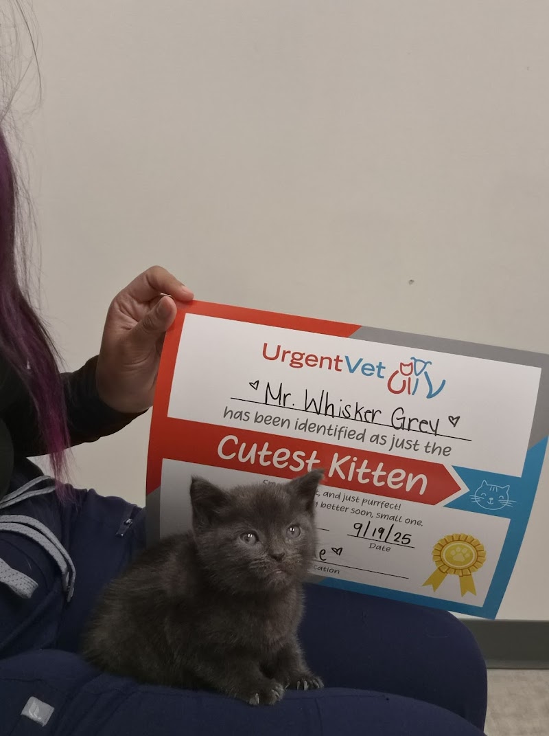 UrgentVet