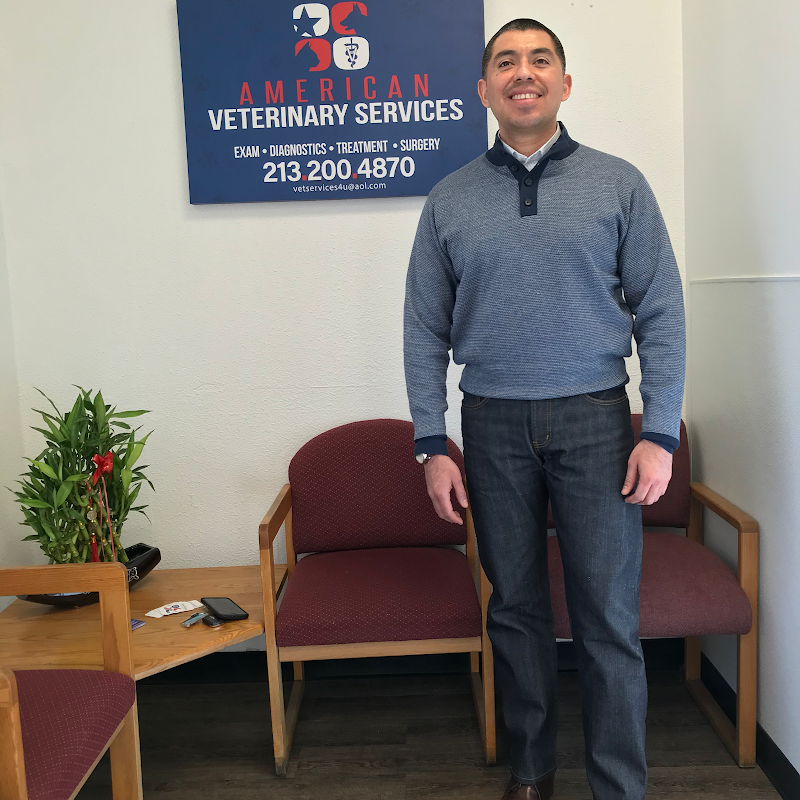 American Veterinary Services