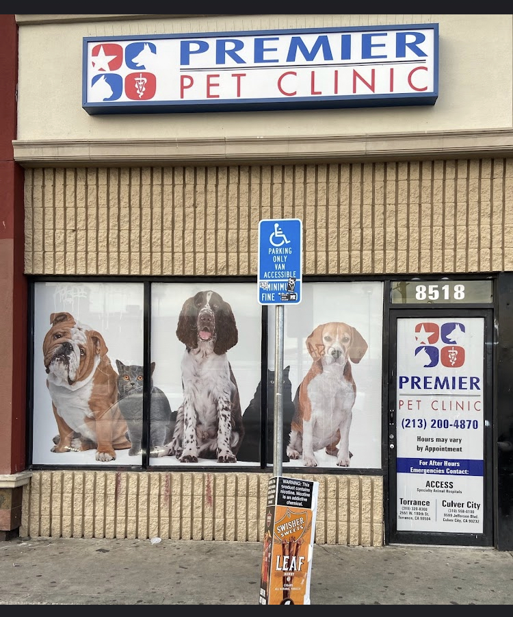 American Veterinary Services