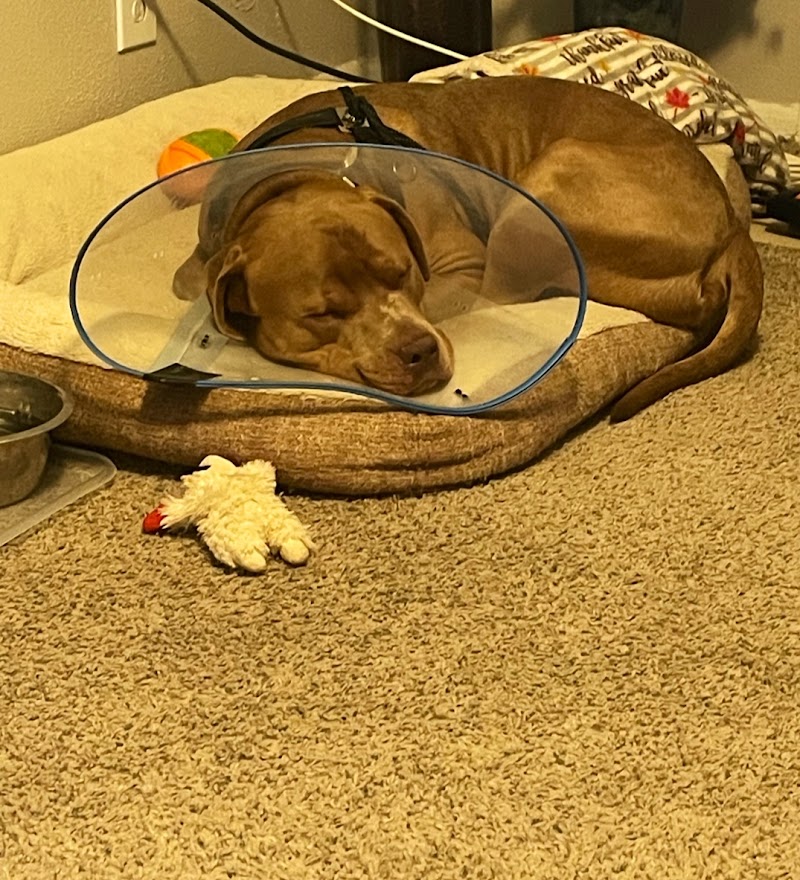 Boerne Veterinary Clinic