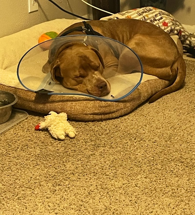 Boerne Veterinary Clinic