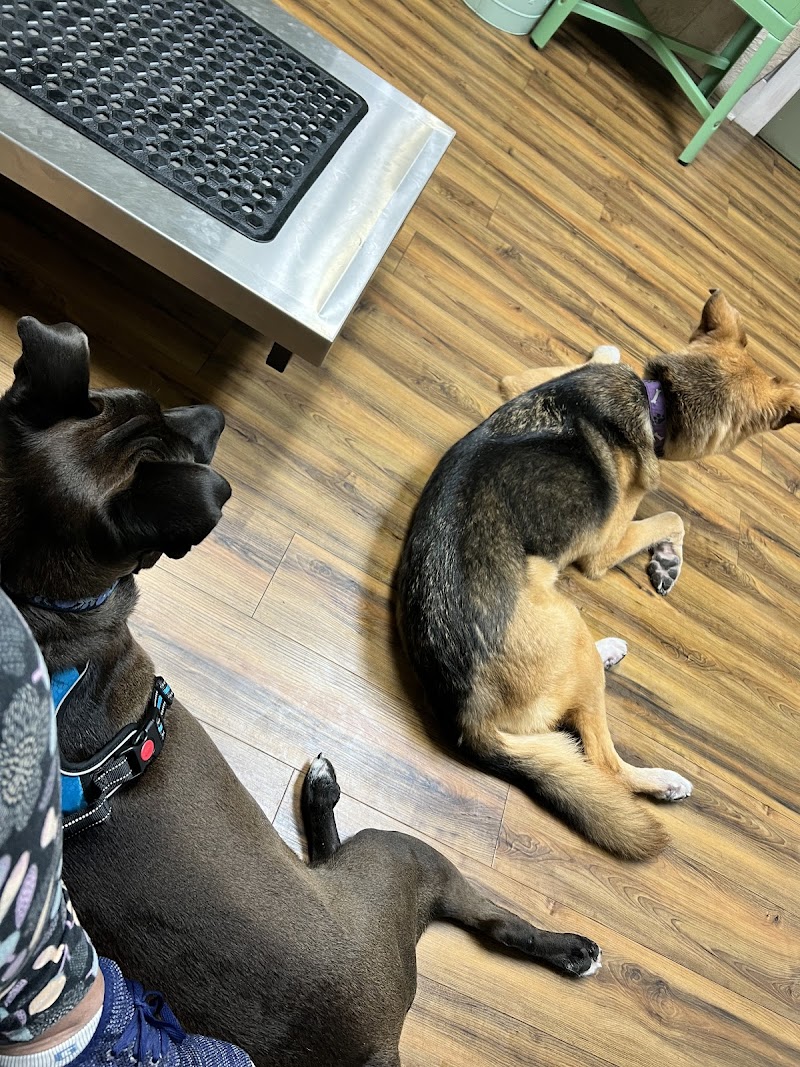 Boerne Veterinary Clinic