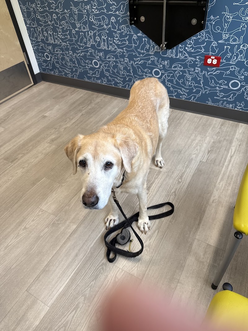 Thrive Pet Healthcare Specialists - Hoffman Estates