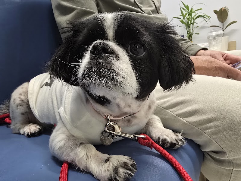 Thrive Pet Healthcare Specialists - Hoffman Estates