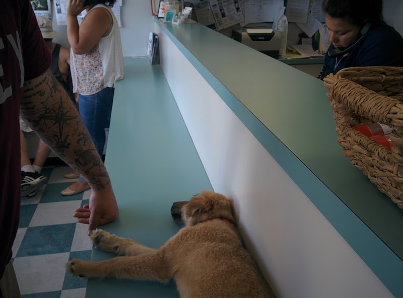 Highland Park Animal Hospital