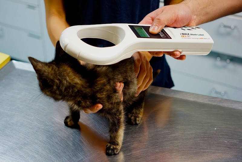 Highland Park Animal Hospital
