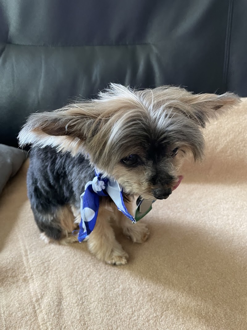 SAGE Veterinary Centers - Redwood City