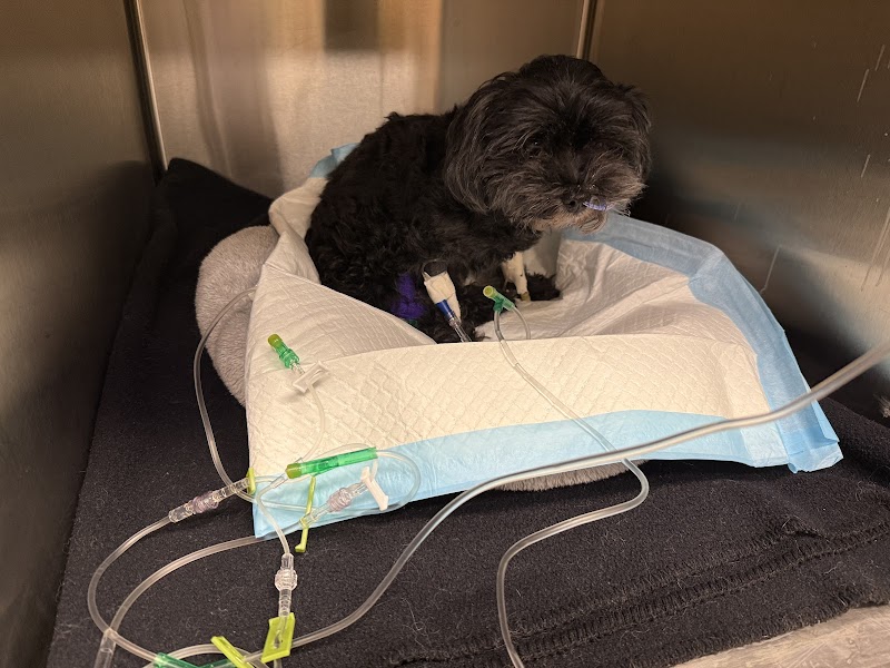 SAGE Veterinary Centers - Redwood City