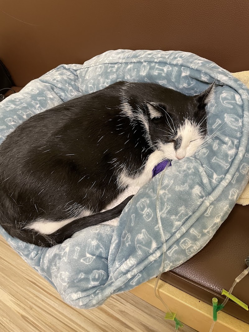 SAGE Veterinary Centers - Redwood City