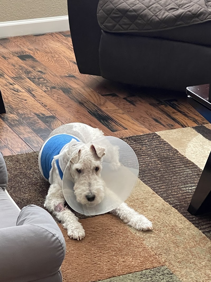 Dallas Veterinary Surgical Center (DVSC) - Plano
