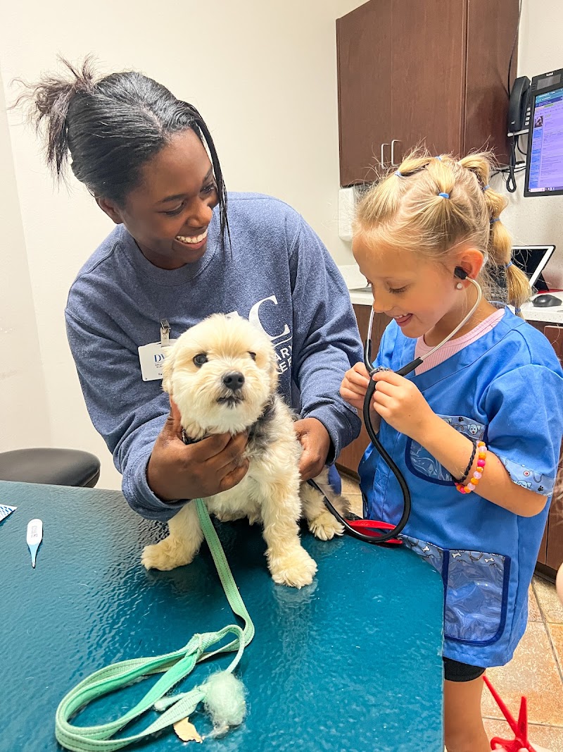 Dallas Veterinary Surgical Center (DVSC) - Plano - Plano