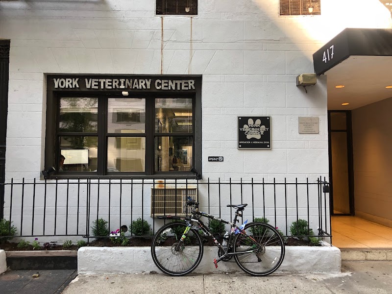 York Veterinary Center