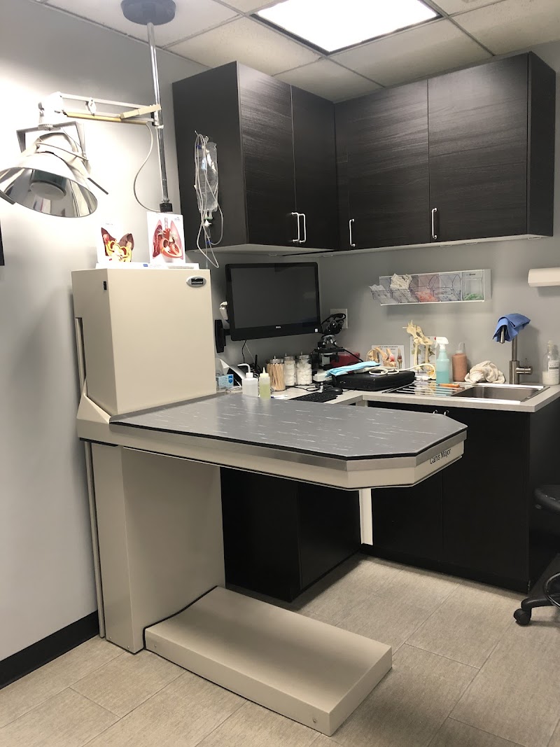 York Veterinary Center