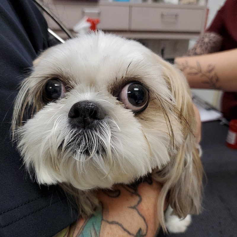 Urgent Care Pet Clinic