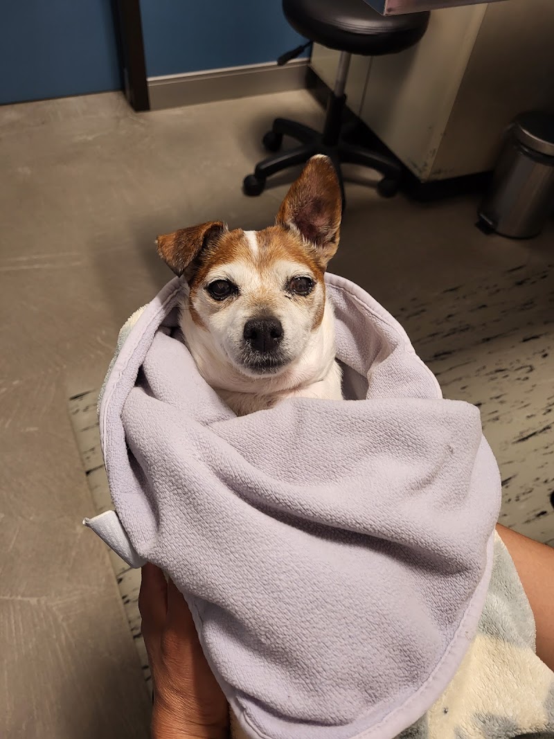 Summit Veterinary Referral Center