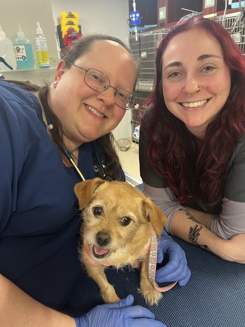VCA Arboretum View Animal Hospital