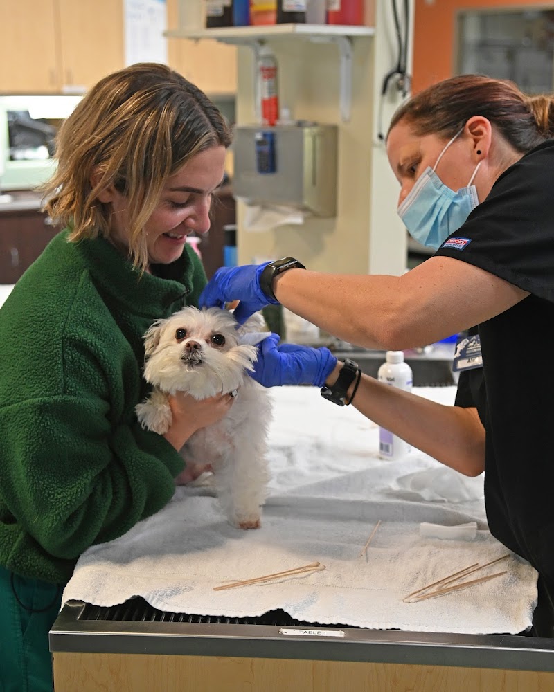 Helen Woodward Animal Center Companion Animal Hospital