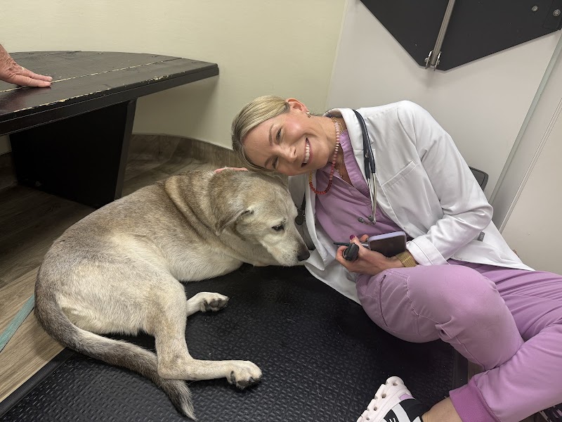 Peachtree Hills Animal Hospital