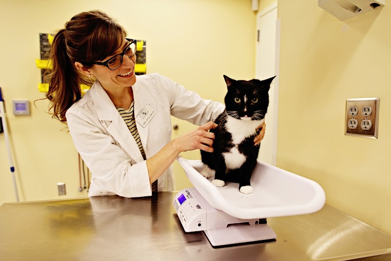 Peachtree Hills Animal Hospital