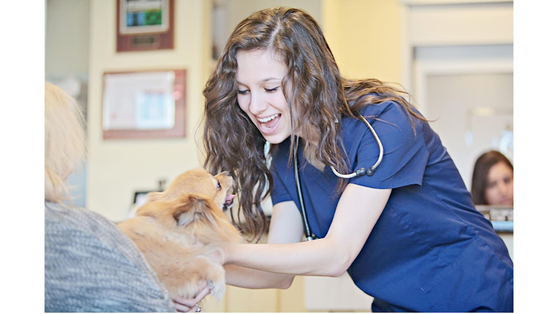 Peachtree Hills Animal Hospital - Atlanta