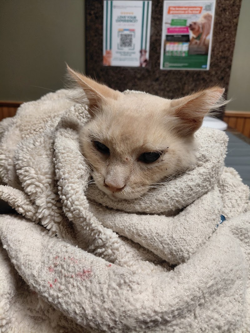 Jersey Village Animal Hospital