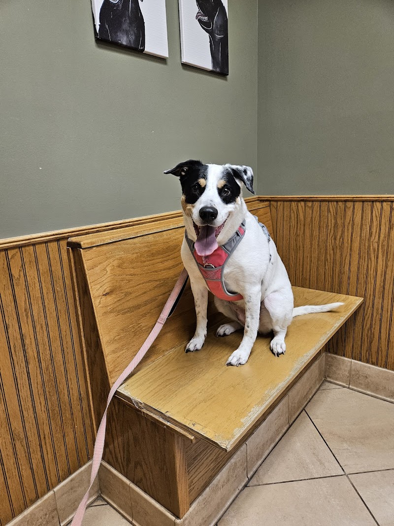 Jersey Village Animal Hospital