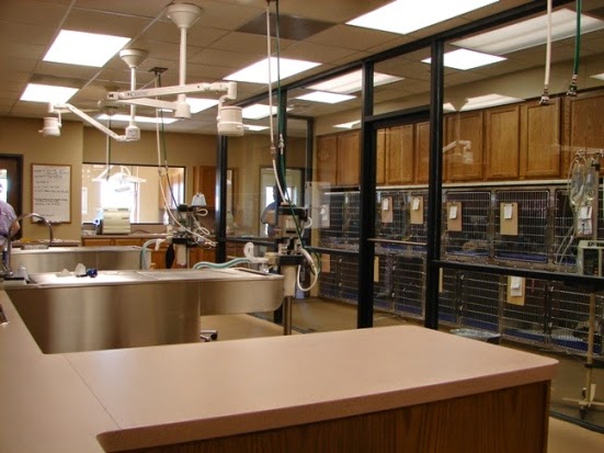 Jersey Village Animal Hospital