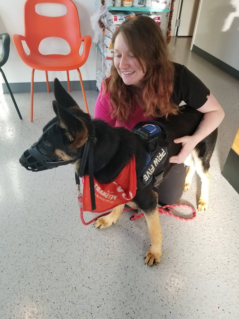 Seatown Veterinary Care