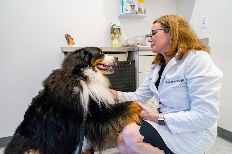 Seatown Veterinary Care
