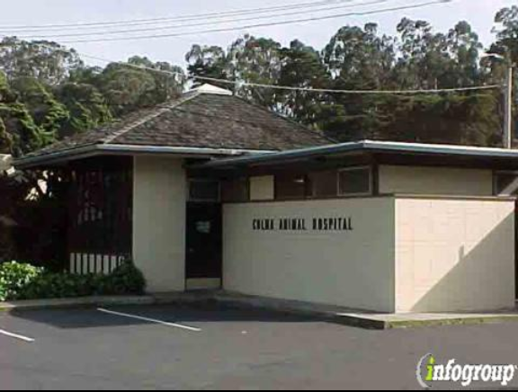 Colma Animal Hospital - Colma