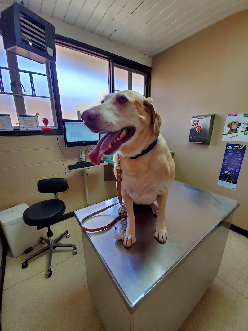 Colma Animal Hospital