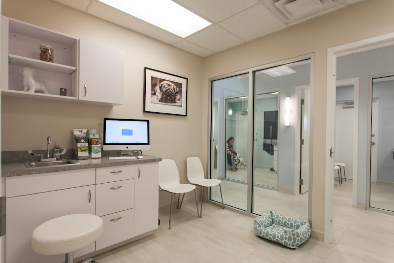 Southeast Veterinary Neurology