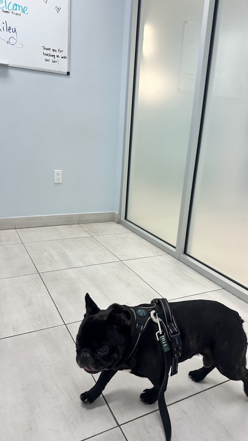 Southeast Veterinary Neurology - Miami