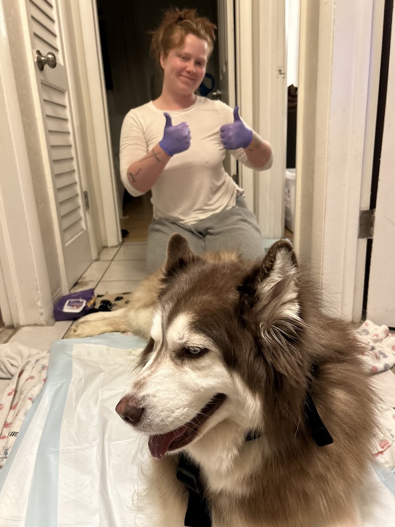 Southeast Veterinary Neurology
