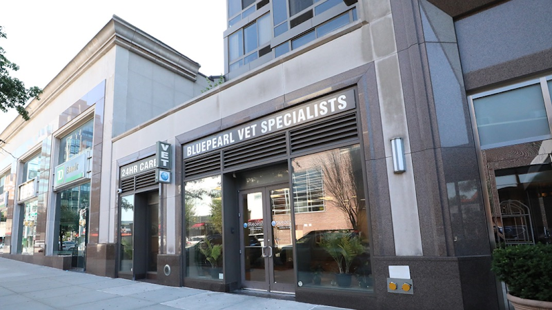 BluePearl Pet Hospital