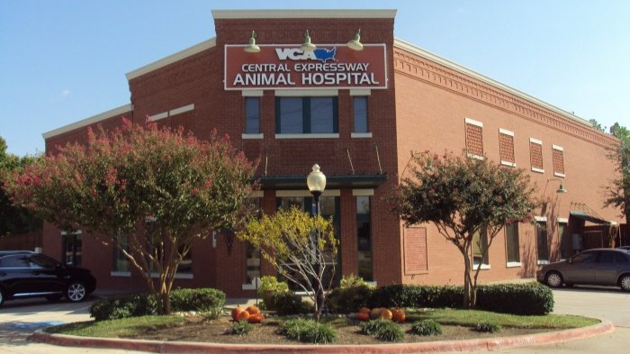 VCA Central Expressway Animal Hospital