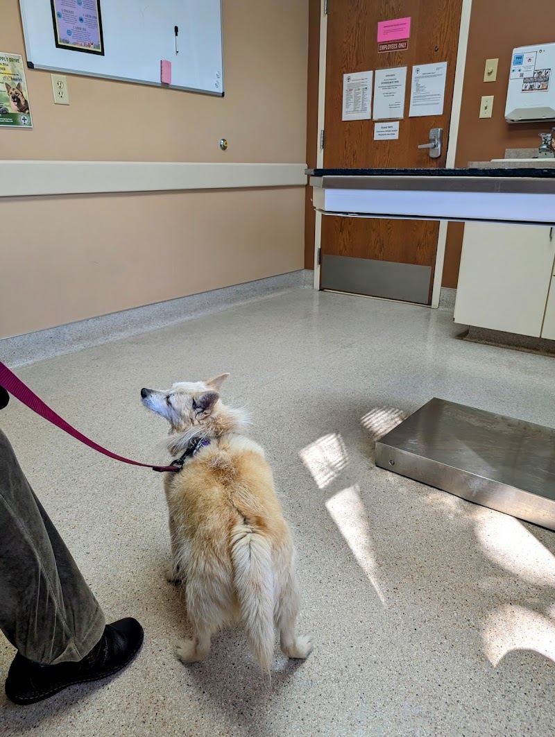 South Metro Animal Emergency Care