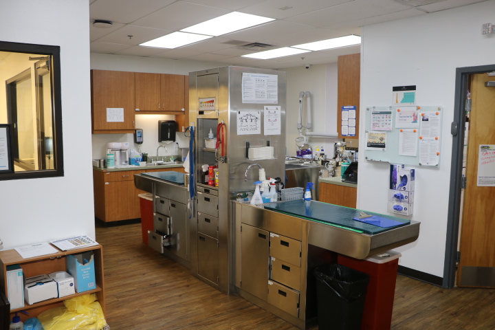 VCA North Atlanta Animal Hospital