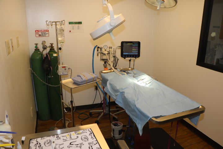 VCA North Atlanta Animal Hospital