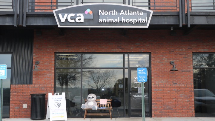 VCA North Atlanta Animal Hospital - Sandy Springs