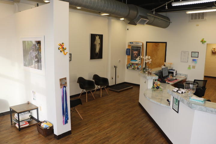 VCA North Atlanta Animal Hospital