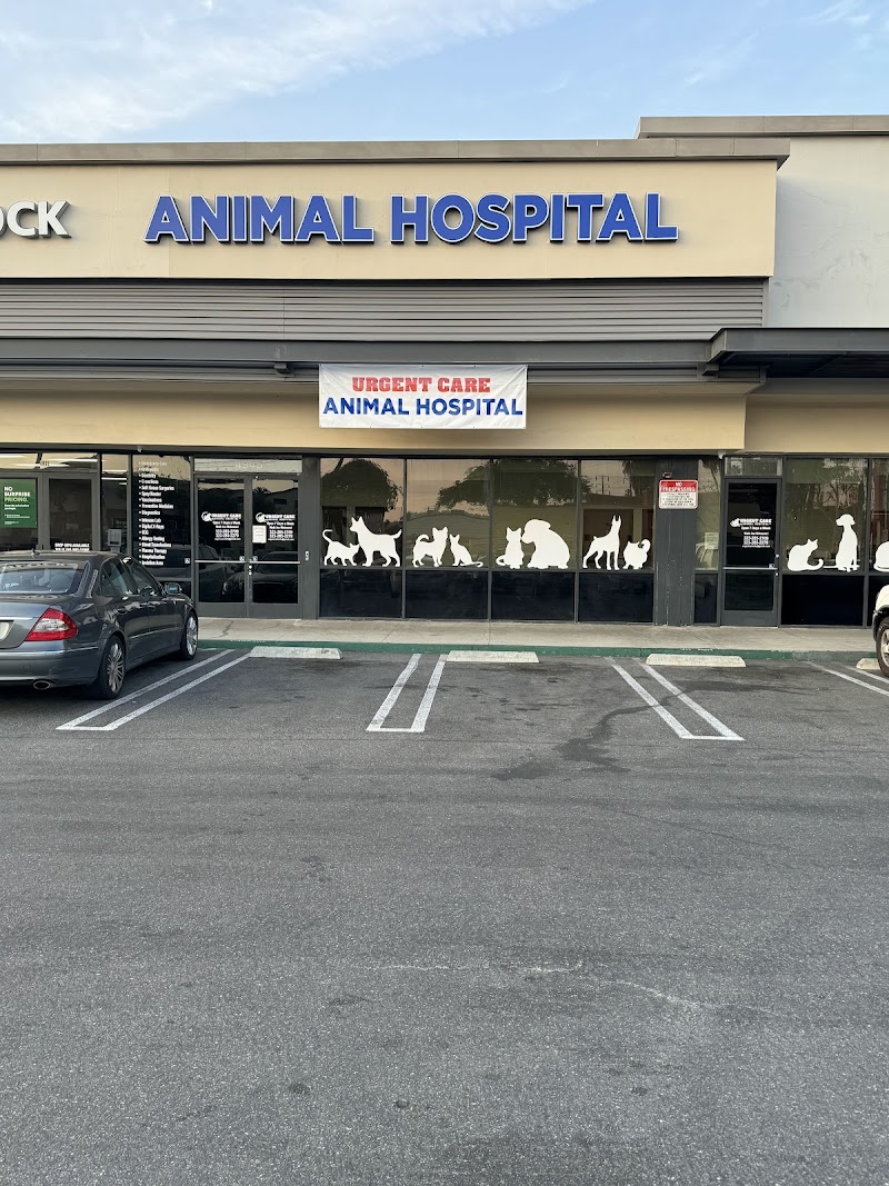 Urgent Care Animal Hospital